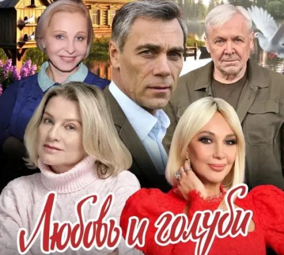 любовь и голуби в США