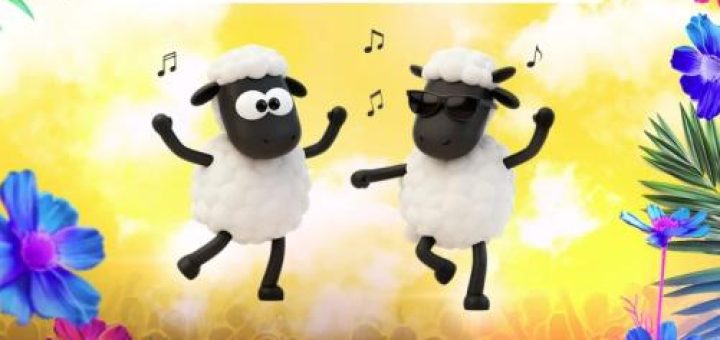 SHEEP.CO DANCE PARTY — ЛЕТО 2026 в Калгари